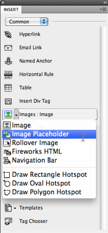 insert placeholder