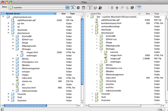 remote and local file view