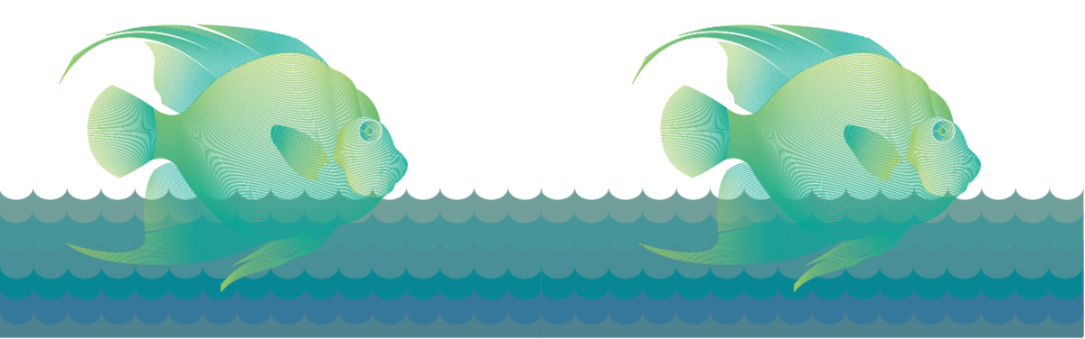 background animation